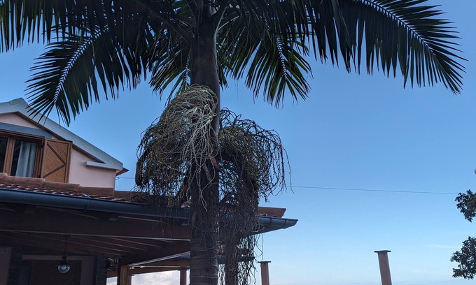 Ponta Delgada Cottage | Fantastic holiday house next to lourisilva mountain, with sea view