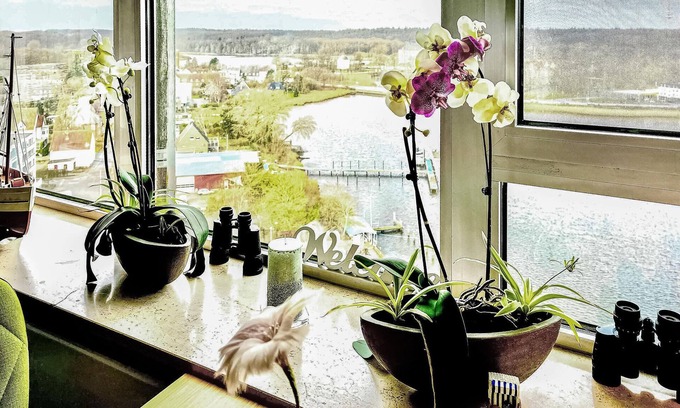 Schleswig Apartment | Fantastic vacation apartment in the Viking Tower in Schleswig.