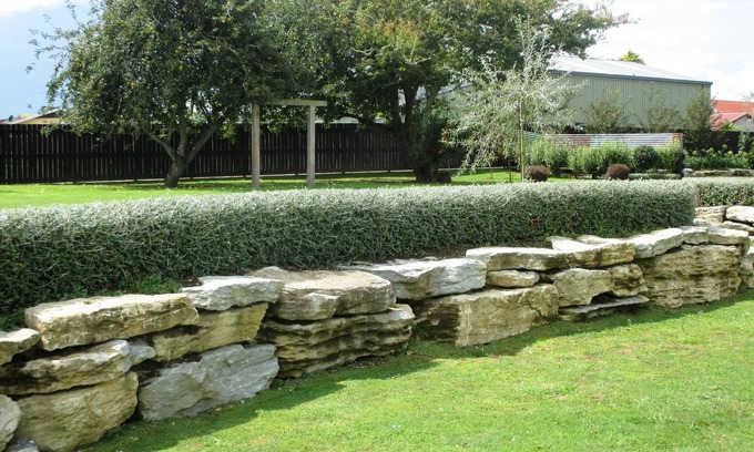 Piopio Hotel | Fat Owl Motel, Bar & Eatery