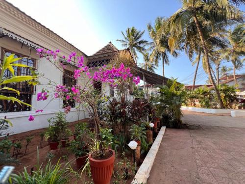 Saunta Vaddo House | Fatima Guest House