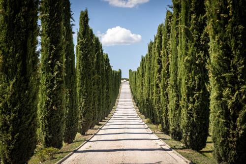 Cantalupo House | Fattoria Colsanto