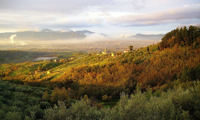 Petrognano Other | Fattoria di Petrognano, your B&B quadruple room