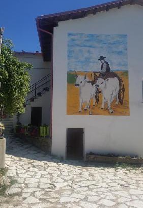 Ascoli Piceno House | Fattoria la Cona