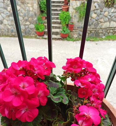 Feneos Apartment | Feneos apartment