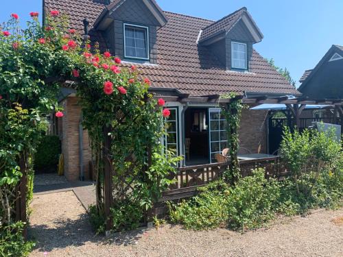 Schoenhagen Apartment | Ferienhaus 8 an der Ostsee in Schönhagen