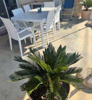 Capilungo House | Ferienhaus im Herzen von Salento