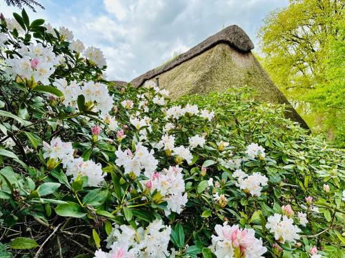Worpswede House | Ferienhaus im Schluh