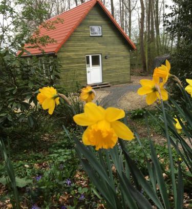 Viehland House | Ferienhof Ohlenbusch