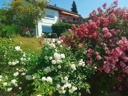 Heidenheim an der Brenz Apartment | Ferienwohnung Josi