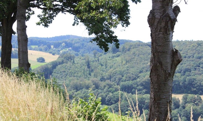 Rimbach Apartment | Ferienwohnung, 65qm, 1 Schlafzimmer, Max. 6 Personen