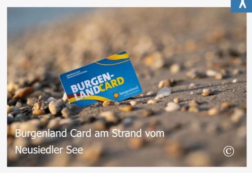 Apetlon Apartment | Ferienwohnung Fertsch