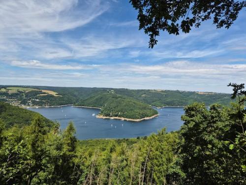 Dedenborn Apartment | Ferienwohnung Waldblick 1 für 6 Personen und max 2 Hunde