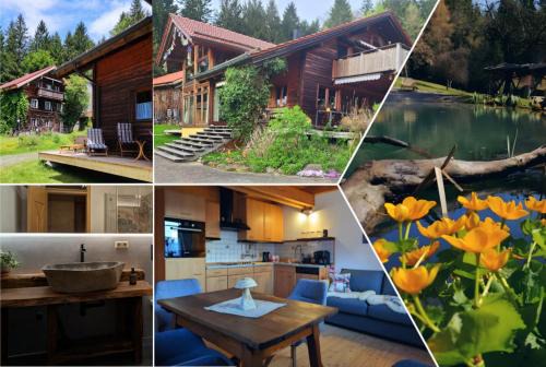 Maibrunn Apartment | Ferienwohnung Waldidyll