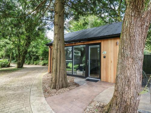 Swimbridge House | Fern