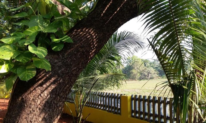 Benaulim House | Feyona Guest House