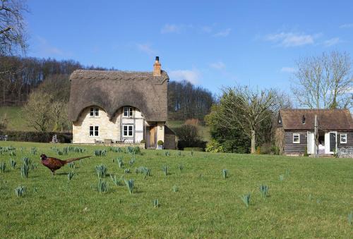 Pershore House | Field Cottage