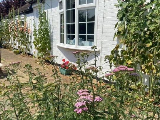 Whittlesey House | Field Cottage
