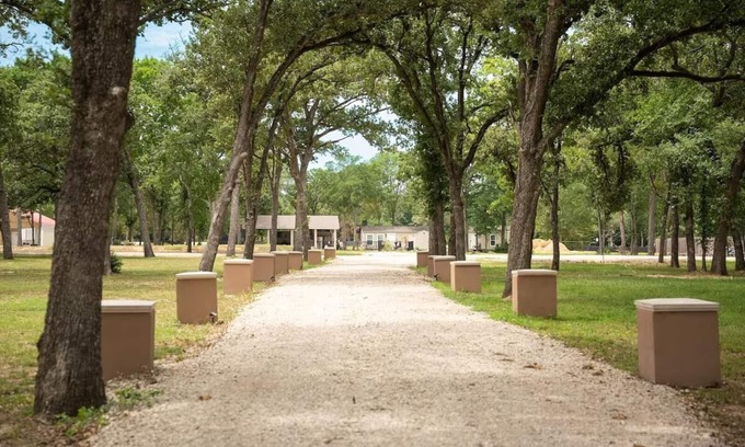 Waller House | Finca Agave Pool Bungalow No. 11 Marigold