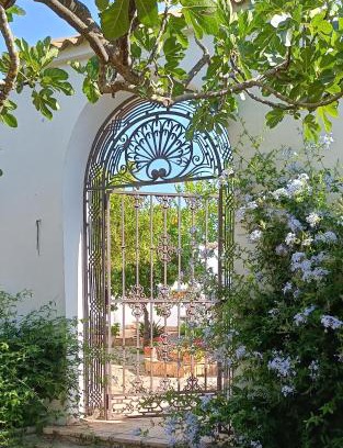 Montilla Villa | Finca Olivo Llorón