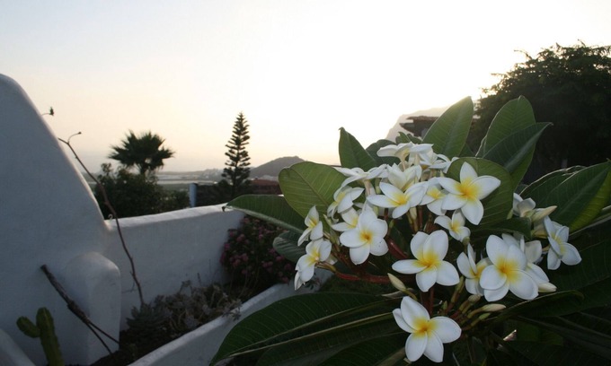 Buenavista del Norte House | Finca vacation . Also great for internet nomads