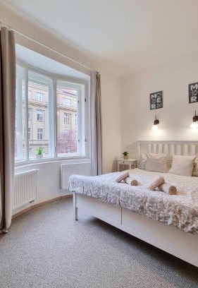Dejvice Apartment | Finnem Rentals Zíkova