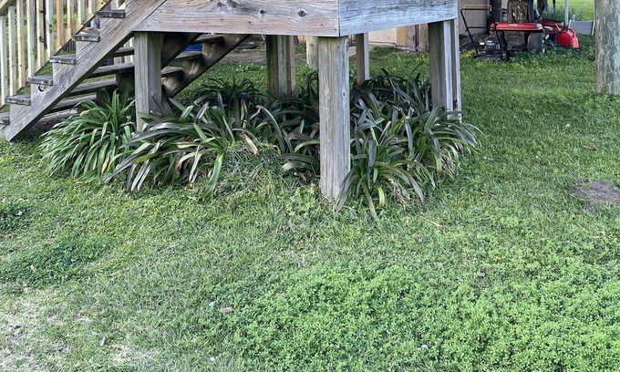 Buras-Triumph House | Fishing/Hunting Camp in Buras, 3 bedroom 1 bath. Fully furnished with Wi-Fi.