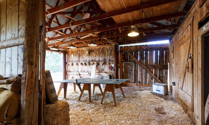 Clay Springs Cabin | Flying Fox Ranch - Cabin on 15 Acre lot w/Tree Fort, Social Barn & Forest Access