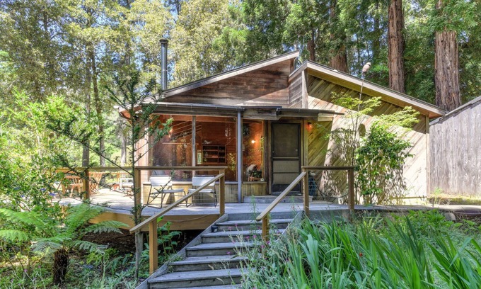 Gualala House | Forest Sea Cabin | Patio w/ Forest Views | Whale Watching