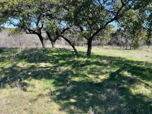 Clifton Other | Fossil Trace Ranch