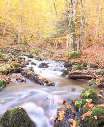 Bruckmuehl Apartment | Fowo-Mangfalltal "Herbstidyll am Fluss "