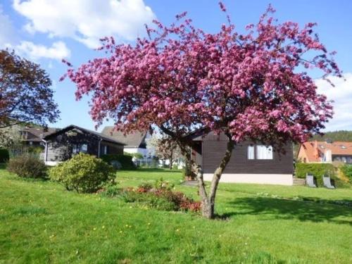 Holenberg House | Friedel