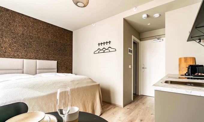 Hliðar Apartment | Frost Apartments - Standard Studio
