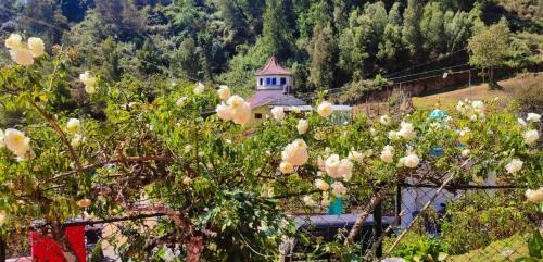 Kodaikanal House | Frozen Monks