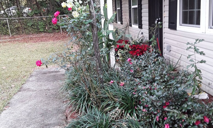 Tallahassee House | Fsu, Famu, Tally Airport, City Life in Tallahassee quiet living just quick ride.