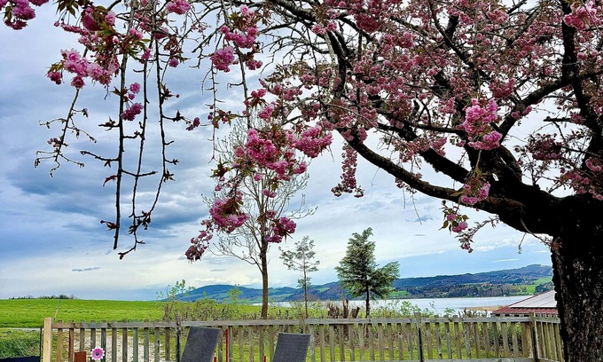 Seekirchen Markt Apartment | Gästehaus "seeblick" Helle Gartenwohnung