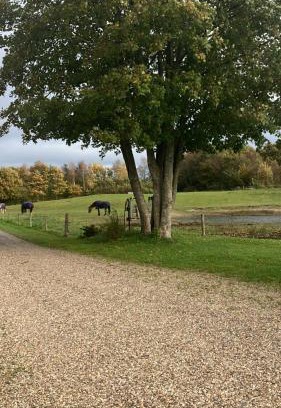 Sønder Felding Apartment | Gården