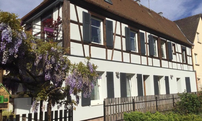 Ingersheim Apartment | Gîte côté jardin