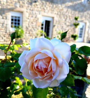 Megrit House | gîte en campagne Lamégritnière