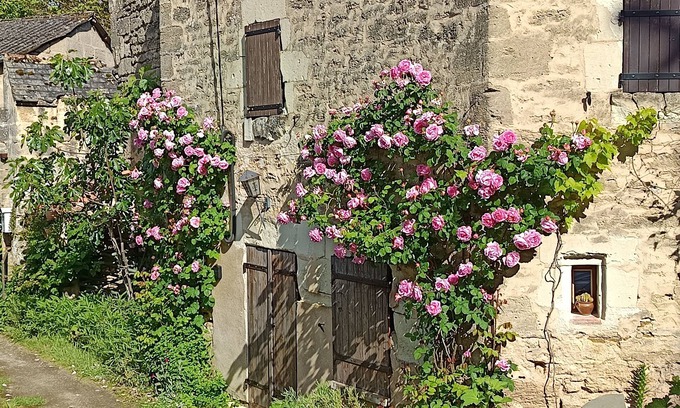 Doue-la-Fontaine House | Gîte les Trois Grandes Portes