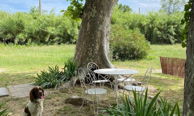 Saintes-Maries-de-la-Mer House | Gîte Pour 2 à 6 Personnes en Plein Coeur de la Camargue