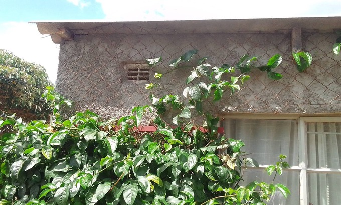 Chitungwiza Bed & Breakfast | Garden Guest House Bed & Bre Chitungwiza