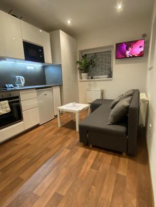 Kralupy nad Vltavou Apartment | Garden house on the Vltava riverbank 15 min to Prague