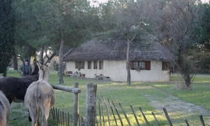 Saint-Laurent-d'Aigouze House | Gardian Aigues Mortes cabin-style house rental