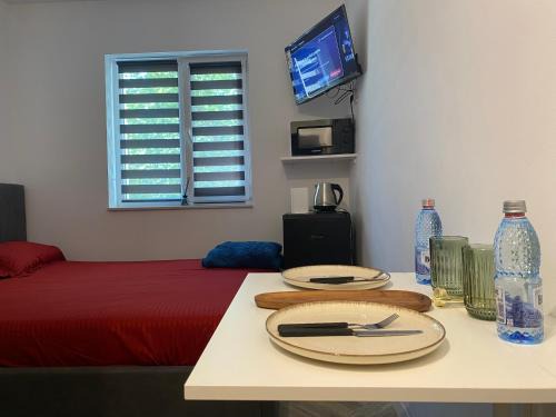 Slatina Apartment | Garsonieră stil hotel 2