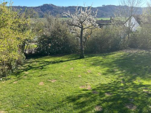 Singen Apartment | Garten Wohnung