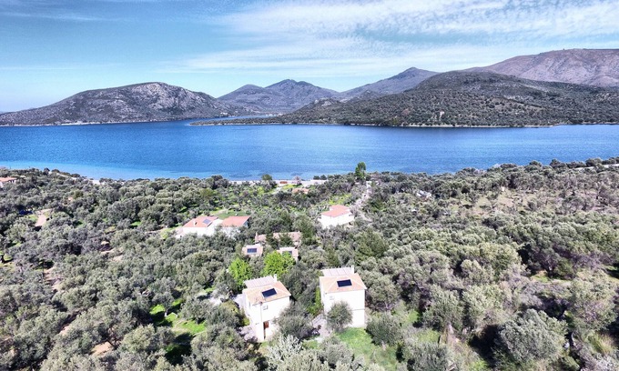 Gera House | Gera's Olive Grove