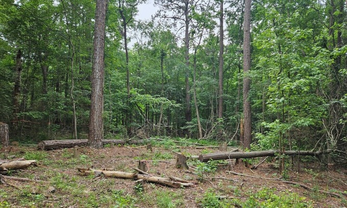 Appling RV Rental | Get Away in a private full 1acre lot in the Columbia County city of Appling.