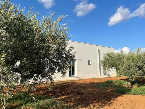 Castelvetrano Bed & Breakfast | Giardino del Belice