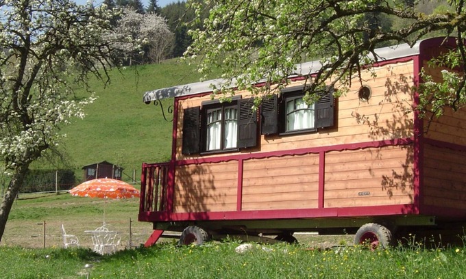 Mitzach House | Gite and unusual accommodation