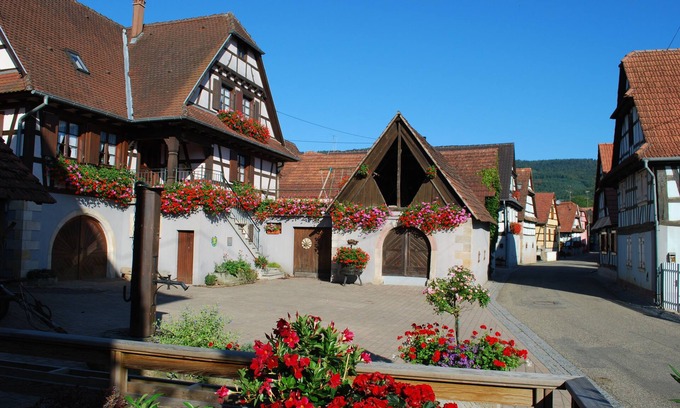 Cleebourg House | Gite du Vignoble